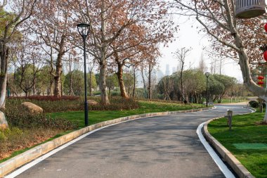 Ormanda yürüyüş yolu. Ormanda yürüyüş yolu