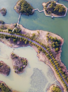 Hava manzarası, ormanlar ve göller