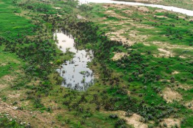 Yağmurlu havada nehir ve yeşil çimenler