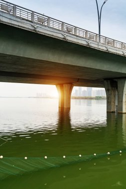 Denizdeki büyük köprünün dibi.