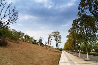 Modern şehirde yürüyüş yolu