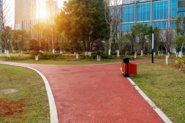 Stadspark Med Modern Byggnad Bakgrund Shanghai — Stockfoto