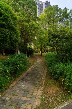 Yürüme yolları, çimlere dizilmiş beton döşemeler, güzel tasarımlar, bahçe dekorasyonu fikirleri.