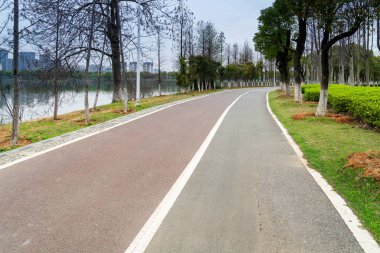 Ormanda yürüyüş yolu. Ormanda yürüyüş yolu