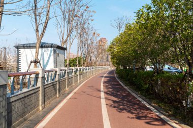 Çin 'deki Şehir Parkı yolu.