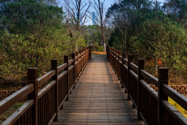 Şehir parkında tahta kaldırım. 