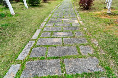 Yürüme yolları, çimlere dizilmiş beton döşemeler, güzel tasarımlar, bahçe dekorasyonu fikirleri.