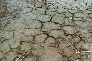 dry cracks in the land, serious water shortages