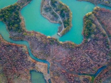 Hava manzarası, ormanlar ve göller