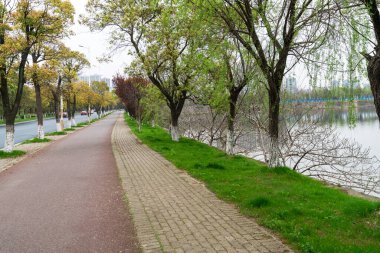 Modern şehirde yürüyüş yolu