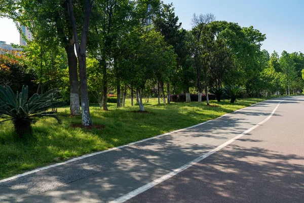 Modern şehirde yürüyüş yolu