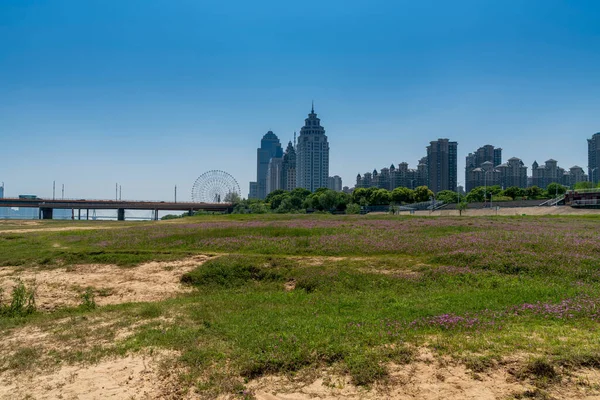 Campo Flores Parque Centro Cidade Cidade Moderna — Fotografia de Stock