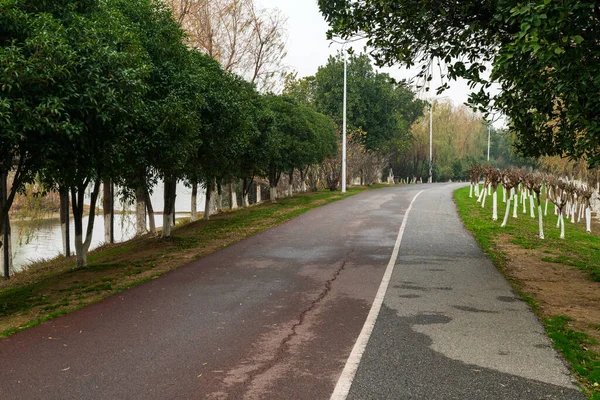 Ormanda Yürüyüş Yolu Ormanda Yürüyüş Yolu — Stok fotoğraf