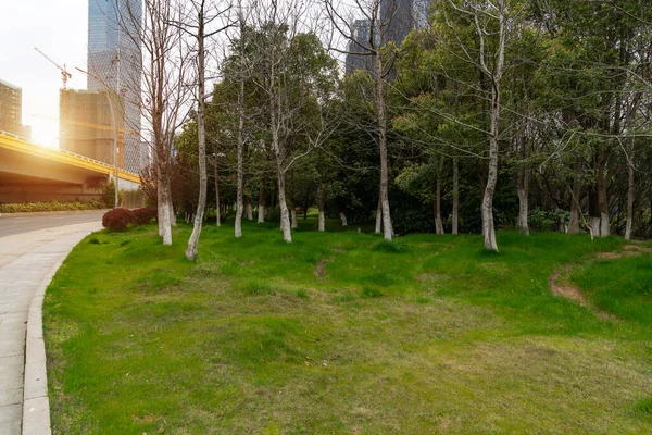Şangay Modern Bina Geçmişi Olan Şehir Parkı — Stok fotoğraf