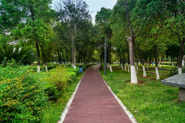 Çin Deki Şehir Parkı Yolu — Stok fotoğraf