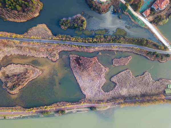 Vista Aérea Bosques Lagos — Foto de Stock