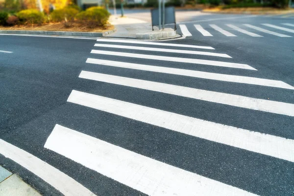 斑马在室外道路上的交叉口 — 图库照片