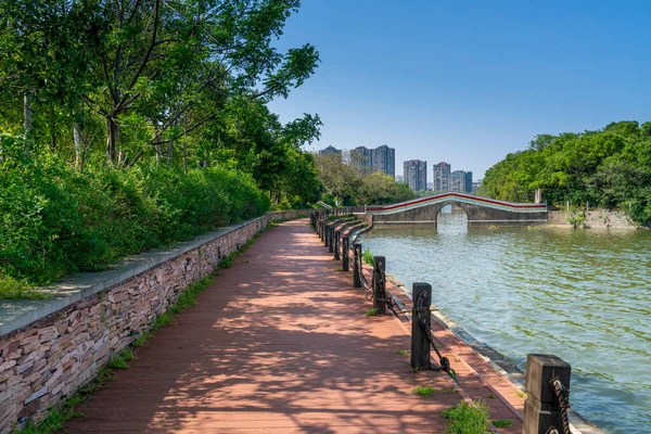 Sydney Stadsgebouw Park — Stockfoto