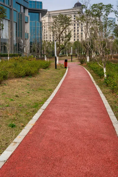 Stadspark Med Modern Byggnad Bakgrund Shanghai — Stockfoto