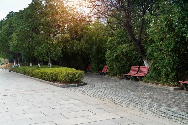 Wooden Bench City Park — Stock Photo, Image