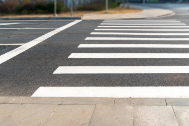 Zebra açık yoldan geçiyor.