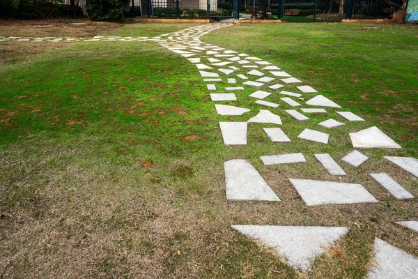 Yürüme Yolları Çimlere Dizilmiş Beton Döşemeler Güzel Tasarımlar Bahçe Dekorasyonu — Stok fotoğraf