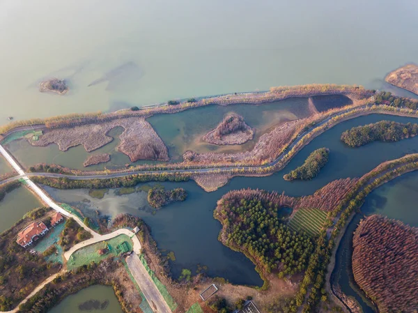 Vista Aérea Bosques Lagos — Foto de Stock