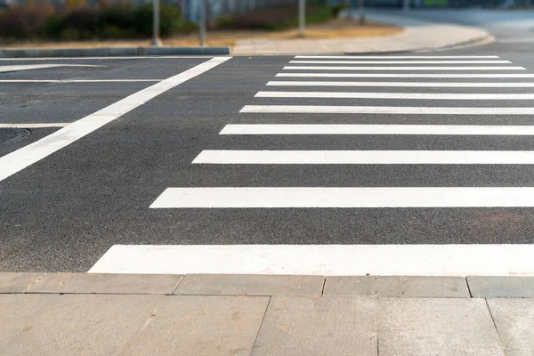 Zebra Açık Yoldan Geçiyor — Stok fotoğraf