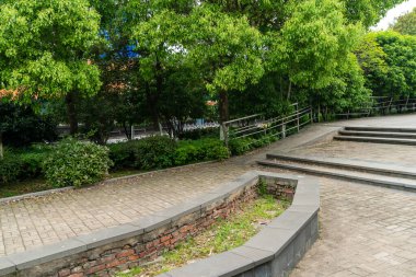 Güneşli günlerde parkların ağaçları