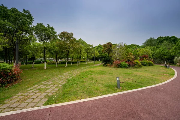 Sydney City Building Park — Stock Photo, Image