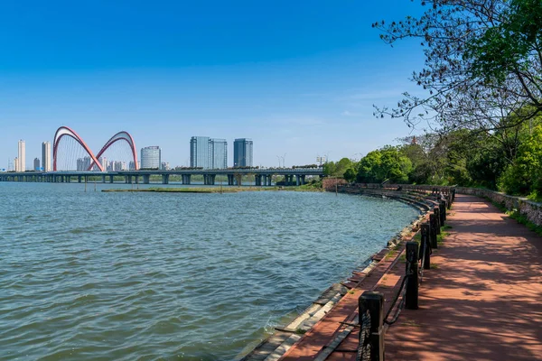 Yangtze River Cable Stayed Bridge — Stock Photo, Image