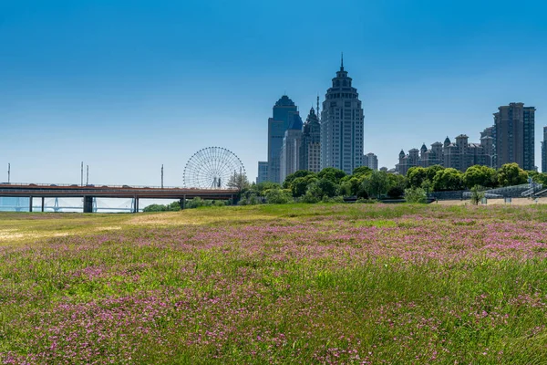 Květinové Pole Parku Centru Města Moderní Město — Stock fotografie