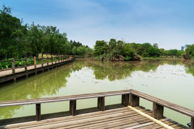 Sydney Şehir Binası ve Park