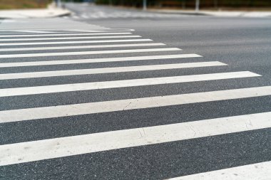 Zebra açık yoldan geçiyor.