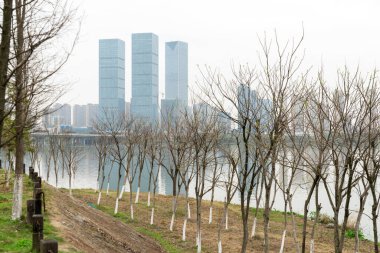 Çin 'deki Lakeside modern ofis binası