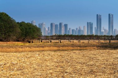 Çin 'deki Lakeside modern ofis binası