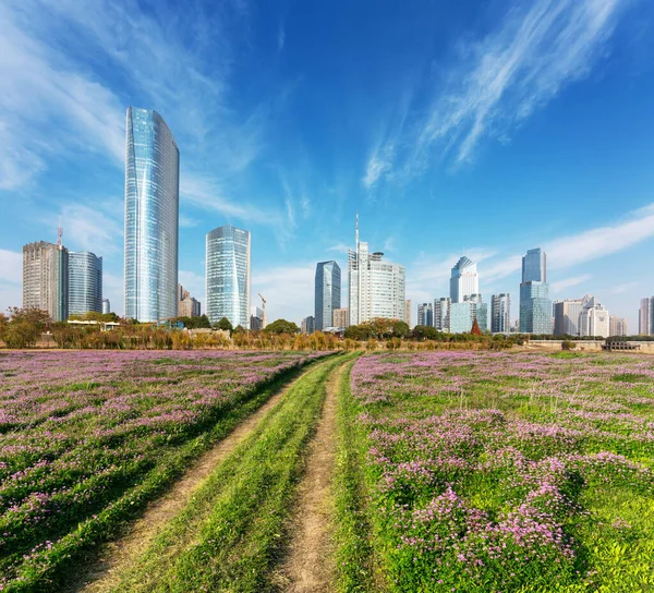 Champ Fleurs Dans Parc Centre Ville Ville Moderne — Photo