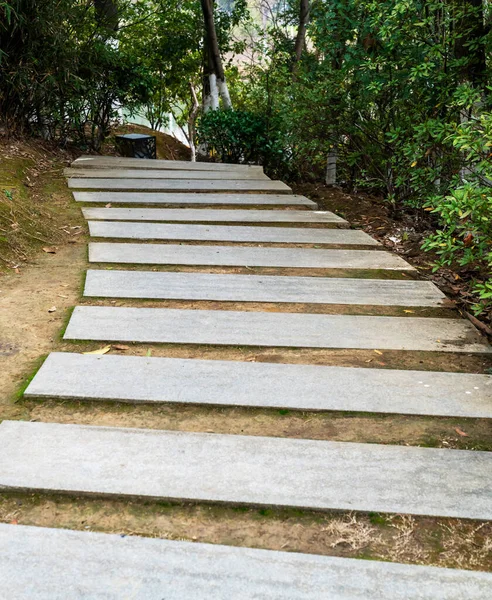 Yürüme Yolları Çimlere Dizilmiş Beton Döşemeler Güzel Tasarımlar Bahçe Dekorasyonu — Stok fotoğraf