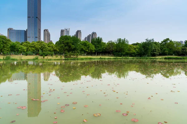 Çin Deki Lakeside Modern Ofis Binası — Stok fotoğraf