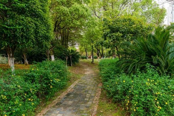 Çin Deki Şehir Parkı Yolu — Stok fotoğraf