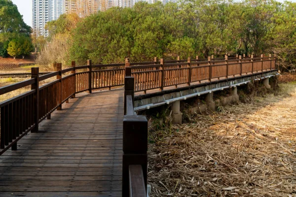 Şehir Parkındaki Küçük Nehrin Üzerindeki Tahta Köprü — Stok fotoğraf