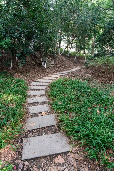 Çin Deki Şehir Parkı Yolu — Stok fotoğraf