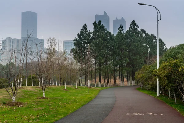 Parque Cidade Com Moderno Edifício Fundo Shanghai — Fotografia de Stock