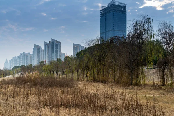 Городской Парк Современным Строительным Фоном Шанхае — стоковое фото