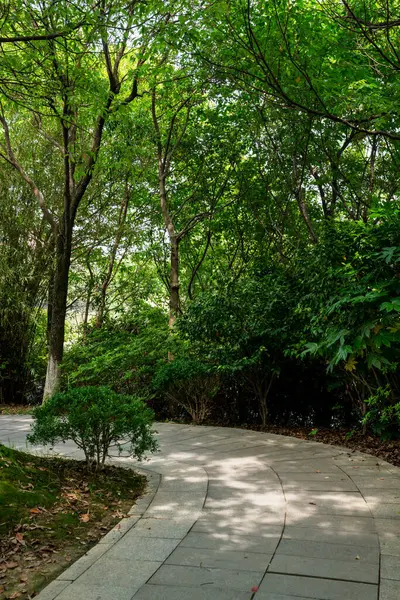 Strada Del Parco Della Città Cina — Foto Stock