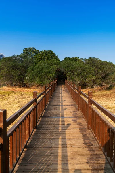 Boardwalk City Park — Stock Photo, Image