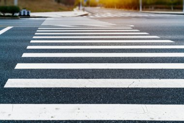 Zebra açık yoldan geçiyor.