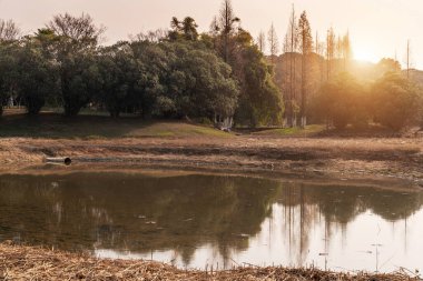Güz gününde güzel orman gölü