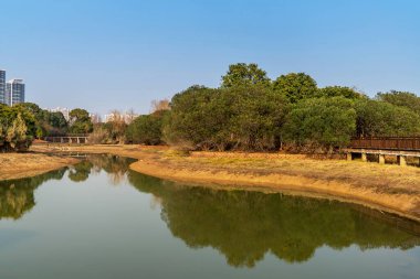 Güz gününde güzel orman gölü