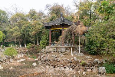Güney Changjiang Deltası 'nın bahçesi.